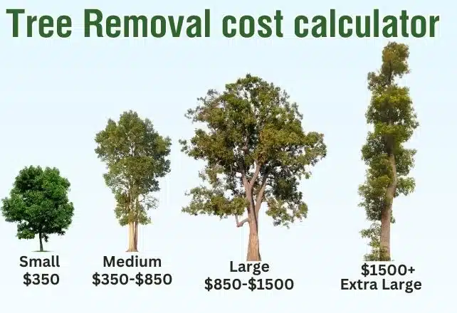 Tree Removal Cost Calculators