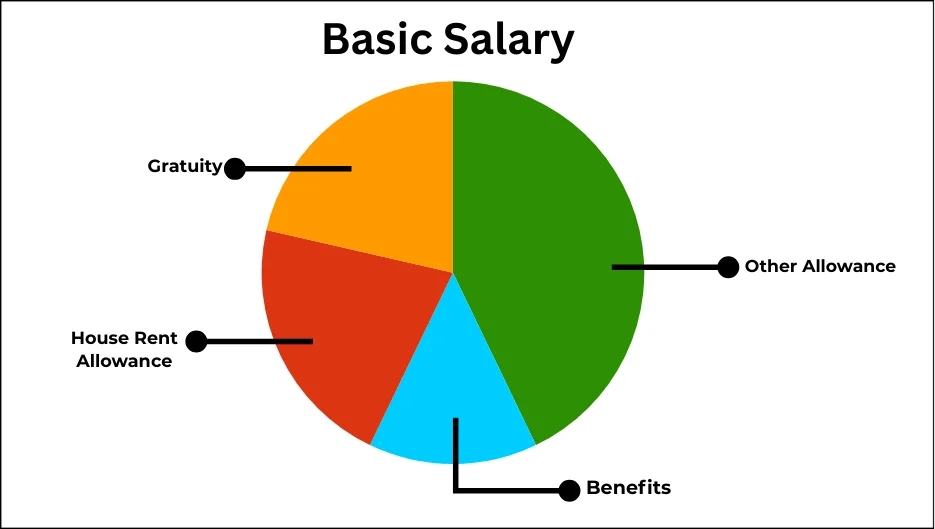 Basic Salary