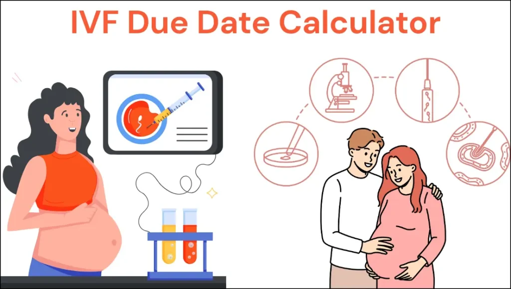 IVF Due Date Calculator