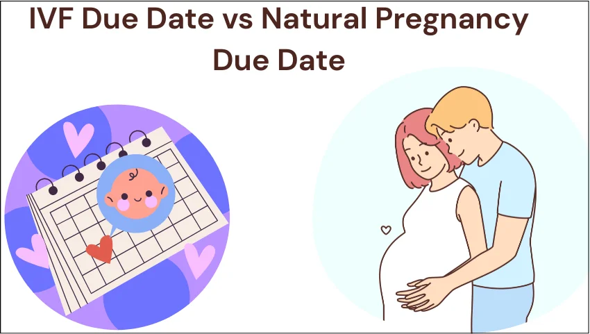 IVF Due Date vs Natural Pregnancy Due Date