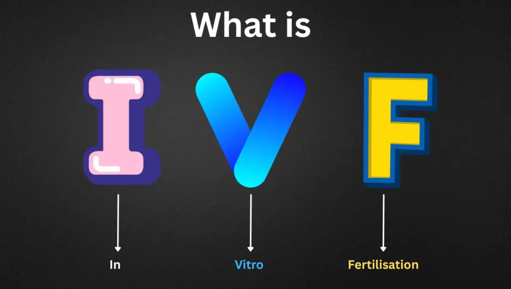 What is IVF