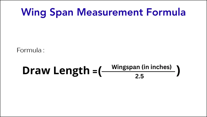 Wingspan Measurement Formula